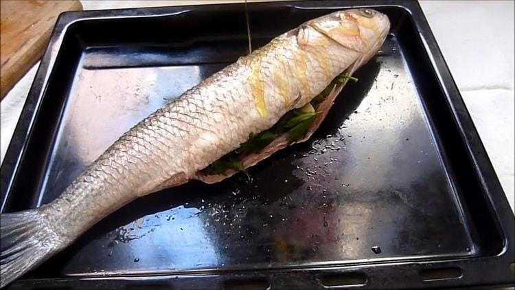 Preheat the mullet in the oven