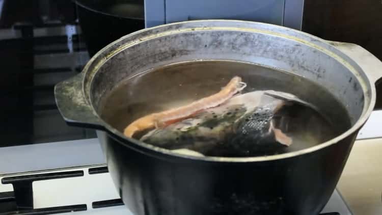 To make salmon soup, boil the broth