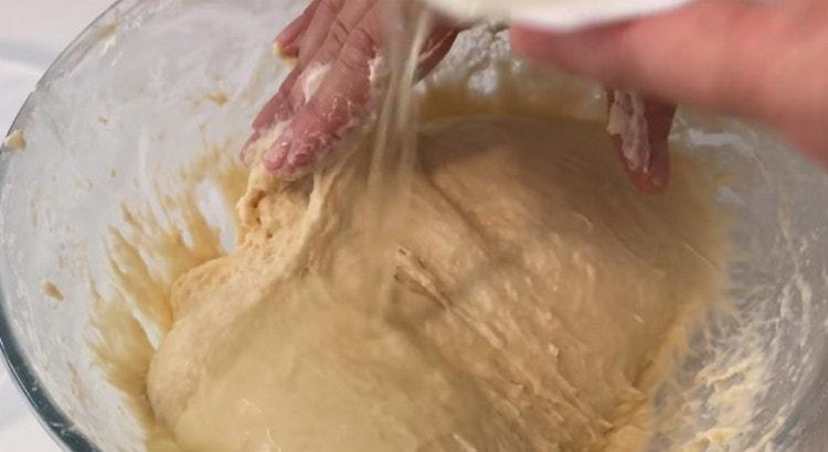 Add more vegetable oil and knead the dough.
