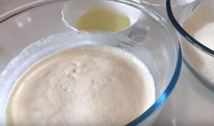 A cap should rise on a dough.