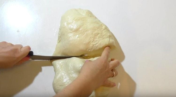 We crumble the risen dough and divide in half.