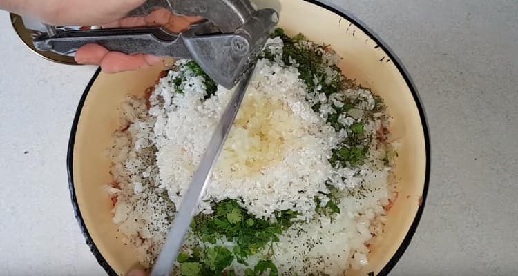 Combine minced meat, rice, garlic, chopped onions and herbs.