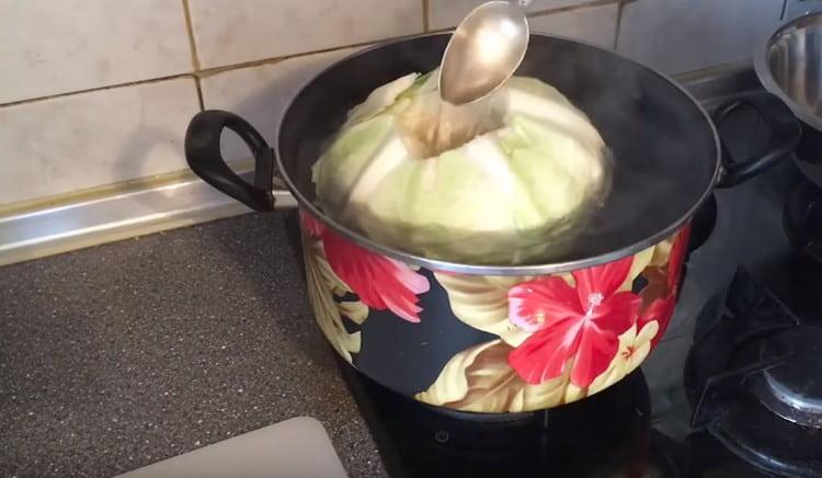 We send cabbage into the water, from time to time we turn it.