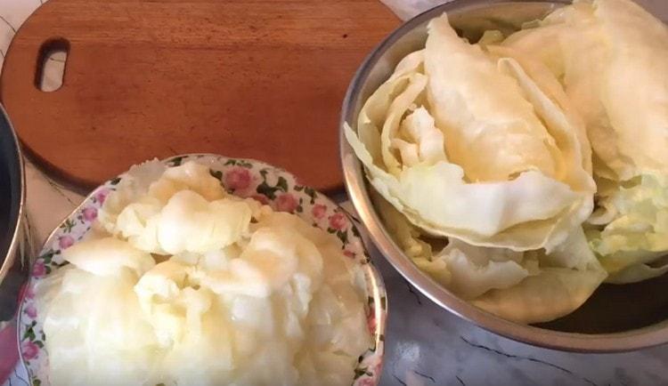 Leaves can be sorted by size.