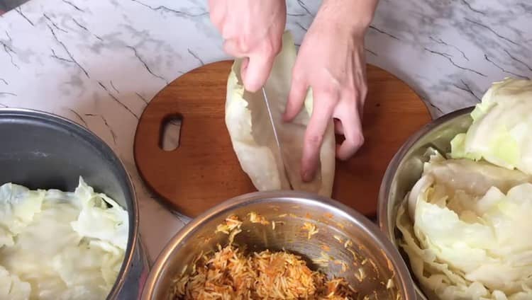 Large leaves are cut in half.