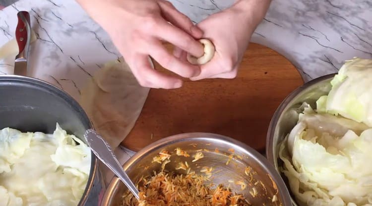 We form cabbage rolls.