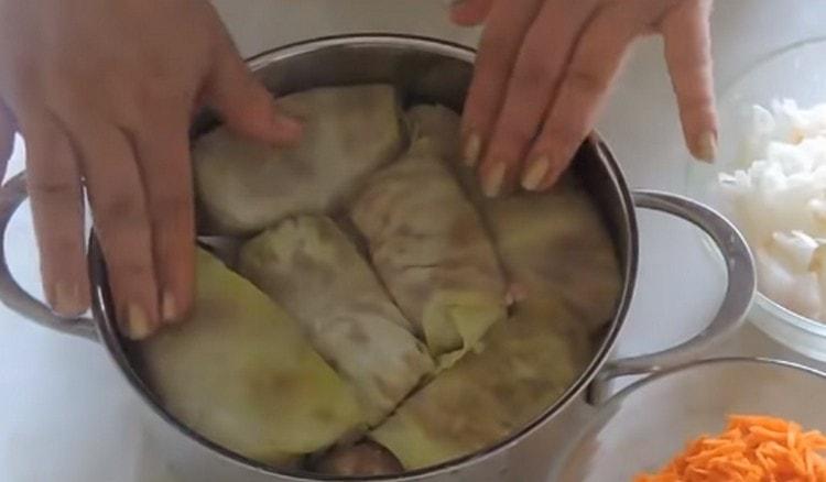 Formed cabbage rolls are laid out tightly in a pan.