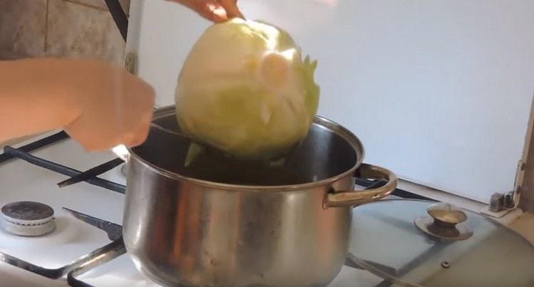 Cook the cabbage.
