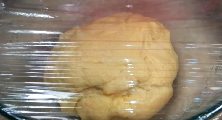 Knead the dough and again leave it in a bowl, in a warm place.
