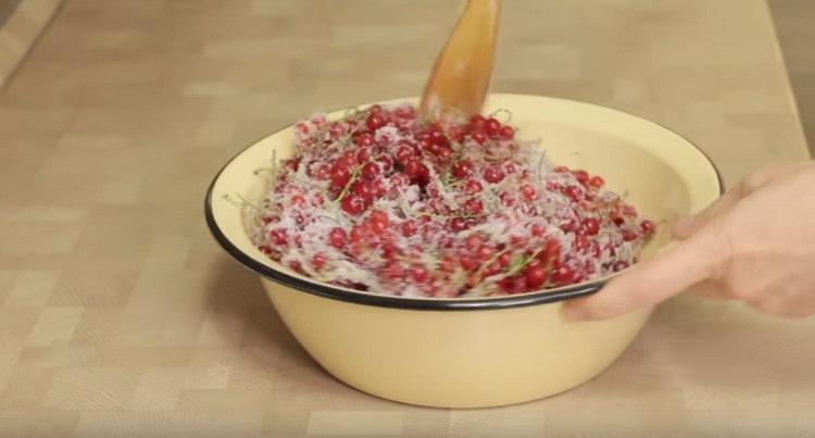 Mix currants with sugar.