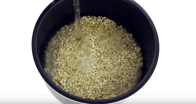 boil barley until cooked.