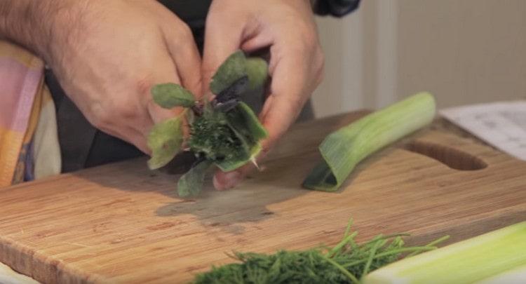 Fragrant herbs bind a bundle.