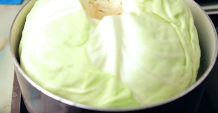 We spread cabbage with a pot of boiling water.