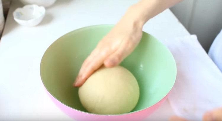 We spread the dough in a bowl greased with vegetable oil.