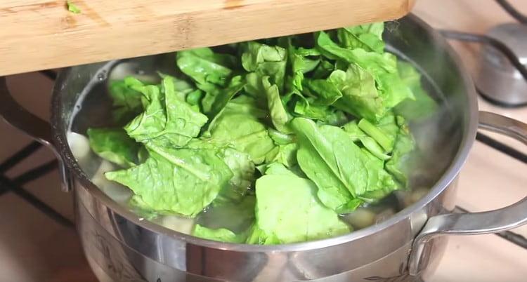 Add chopped spinach to the soup.