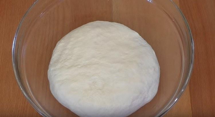 Put the dough in a bowl and leave in a warm place.