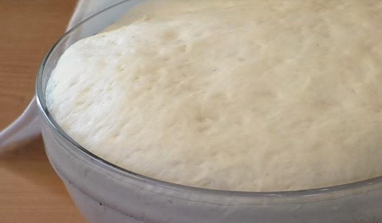 This dough without eggs rose perfectly.