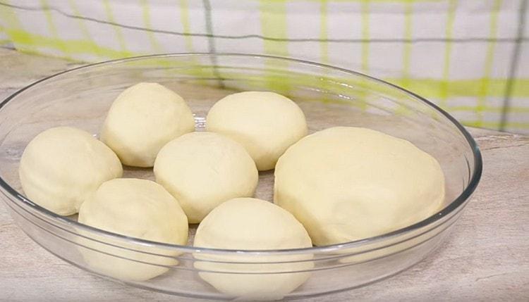 Pizza blanks are laid out in a previously oiled form and left in a warm place.