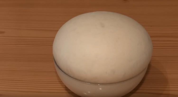 Dry yeast pizza dough went well.