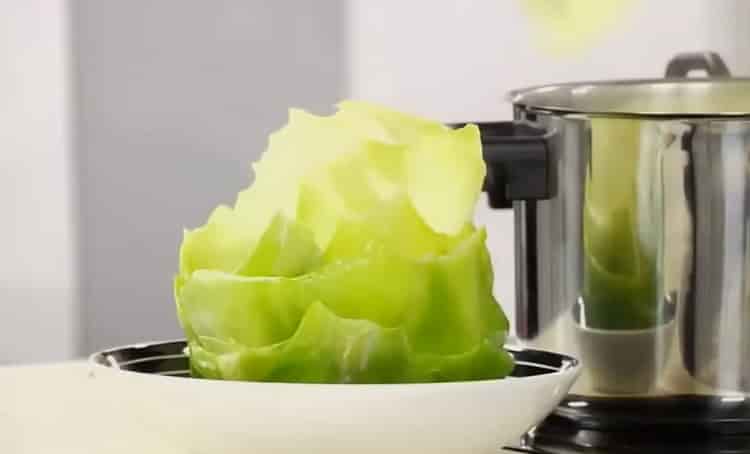 How to properly prepare cabbage for cabbage rolls