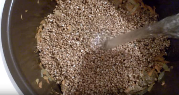 Add water to the multicooker.