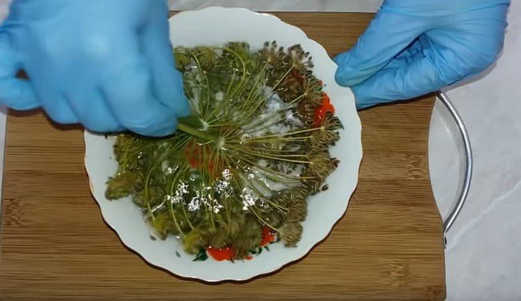 Dill umbrellas soaked in water.