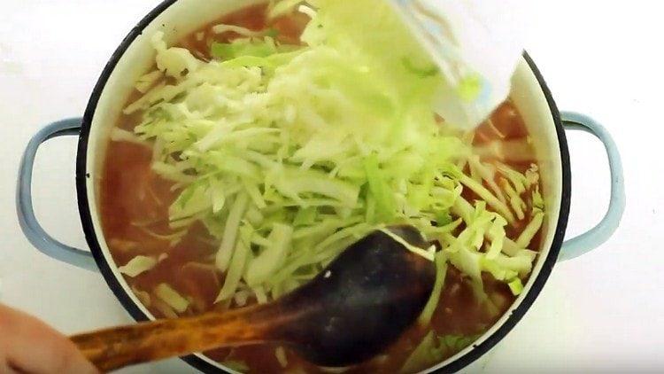 Put shredded cabbage into the pan.