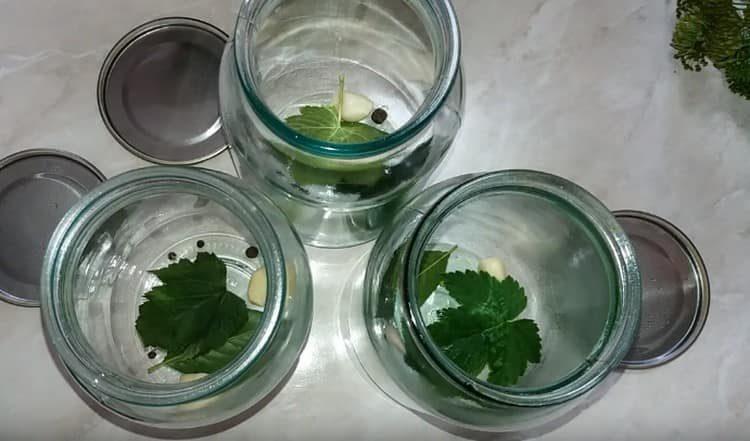 Add the leaves of cherry and currant.