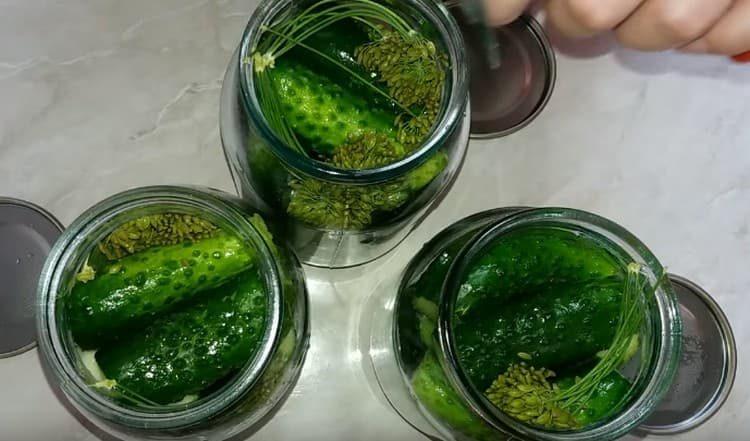 On top of the cucumbers add one more dill umbrella