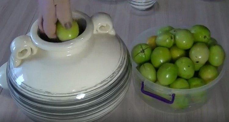 We put tomatoes in the container.