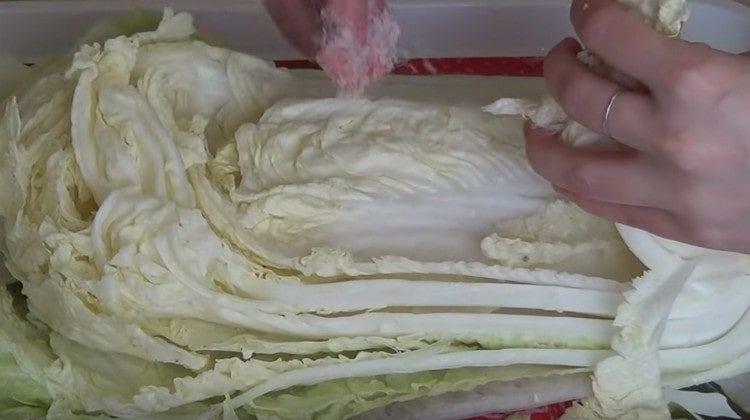 Sprinkle each leaf of cabbage with salt.