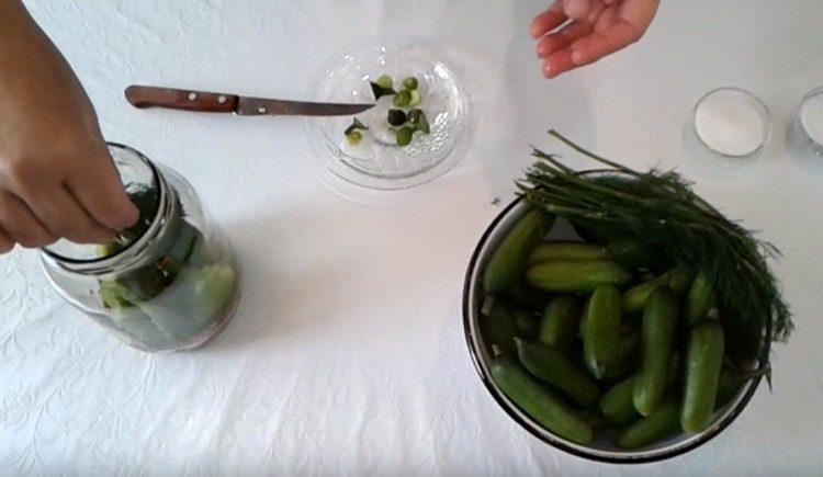 Put dill in the jar between the cucumbers.