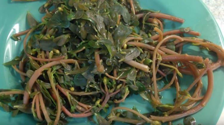 We take the plant out of boiling water and let it cool.