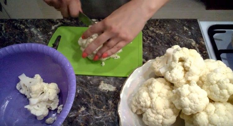 We cut each inflorescence into smaller pieces.