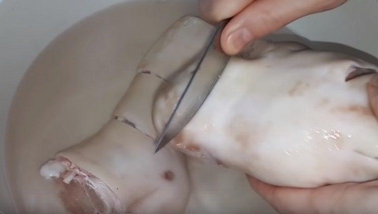 Scrap the pork legs thoroughly.