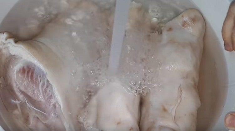 Feet should also be soaked in water.