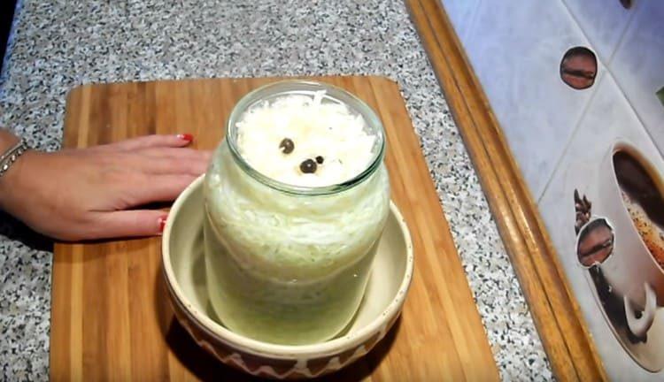 In a day, the cabbage is ready.