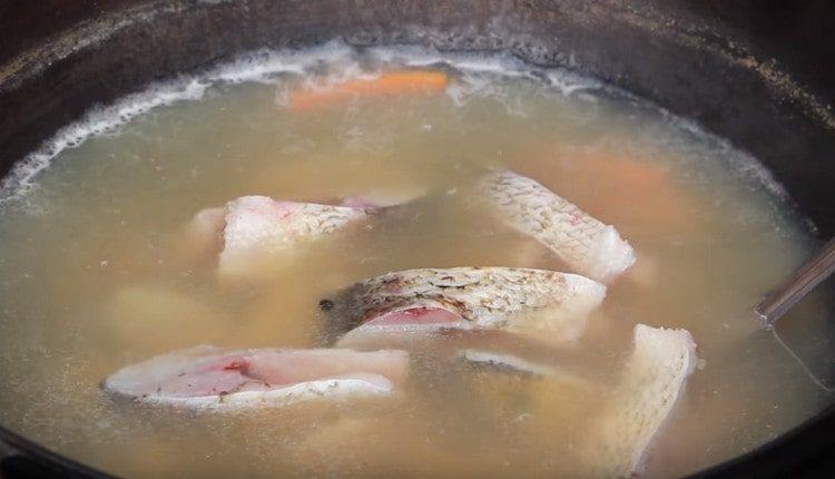 Add fish pieces to your ear.