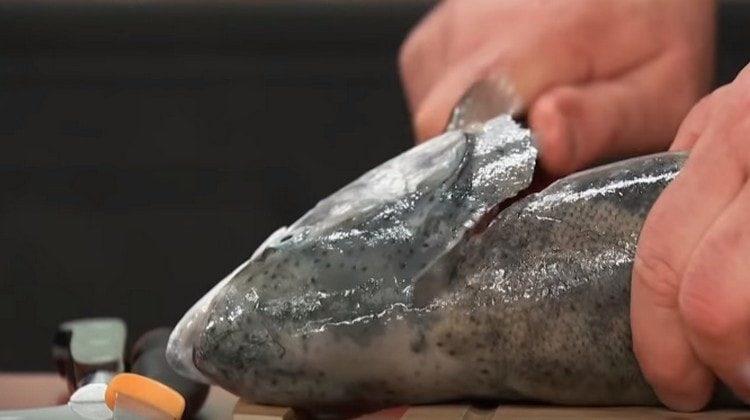 Having gutted red fish, cut off her head.