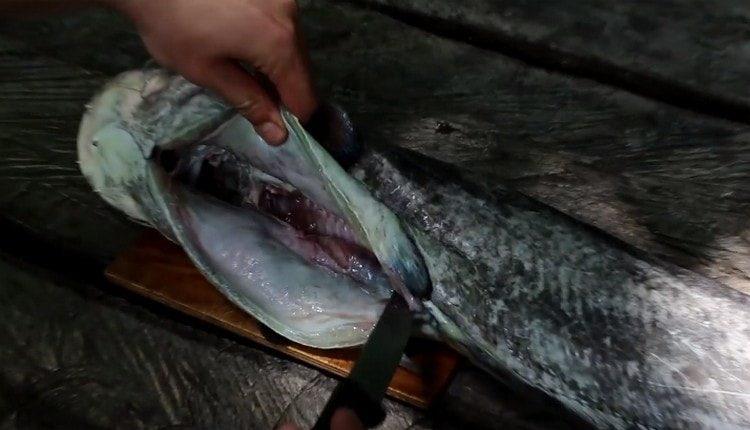 We clean the carcass of catfish from scales, gutting.