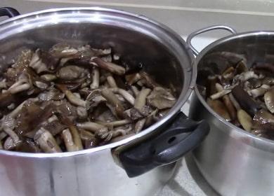 How to cook mushrooms and how much 🍄