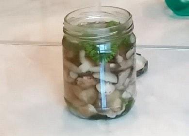 Pickled mushrooms for the winter 🍄