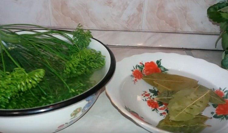 Soak bay leaves and dill umbrellas.