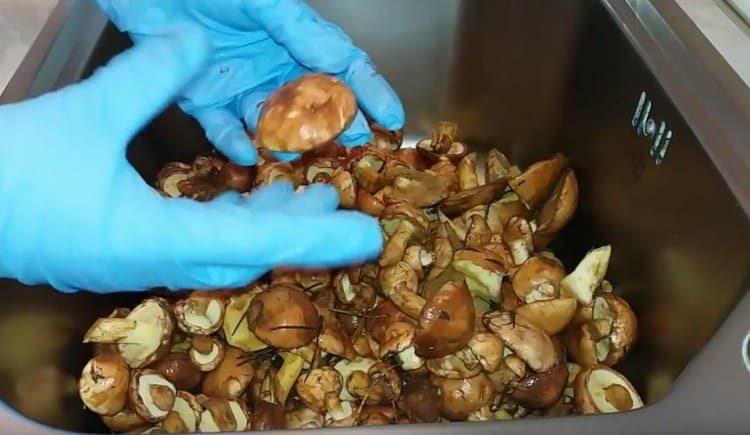 we carefully sort and wash the mushrooms.
