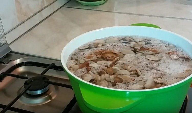 Again, fill the mushrooms with water and set to cook.
