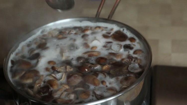 boil the mushrooms