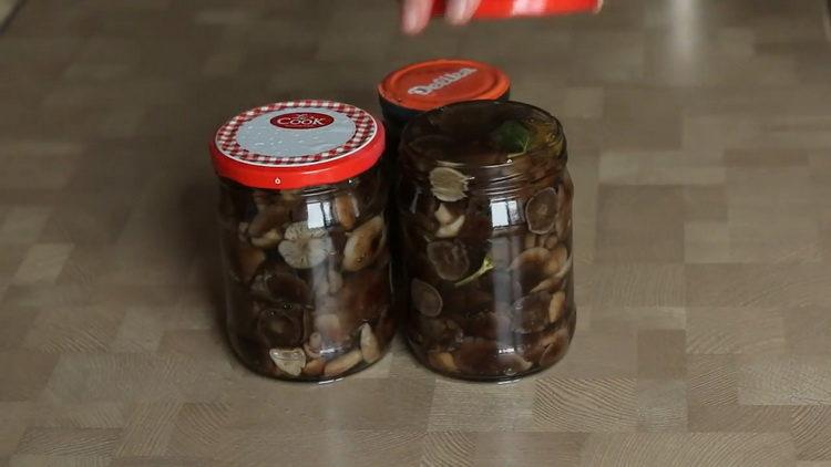 Harvesting mushrooms for the winter - how to pickle