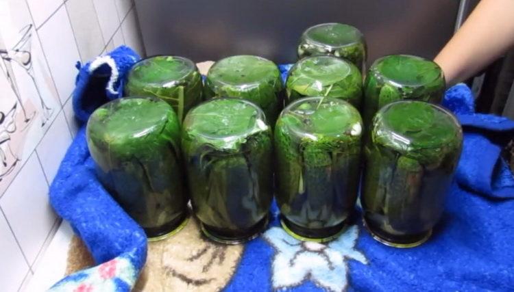 Crispy Cucumbers Without Sterilization