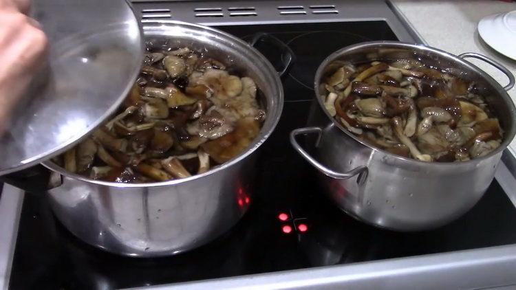 Bring mushrooms to readiness