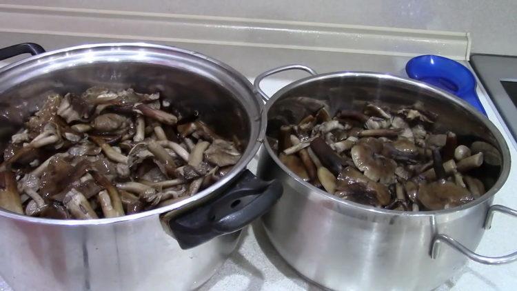 How to cook mushrooms and how much